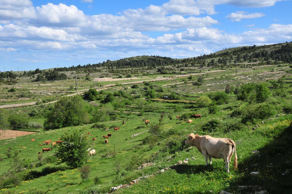 Casa Rural El Boixar - El Mirador Bojar Bagian luar foto