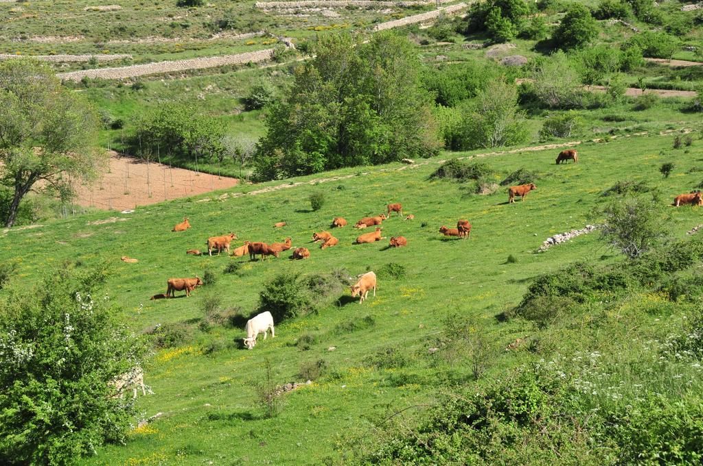 Casa Rural El Boixar - El Mirador Bojar Bagian luar foto